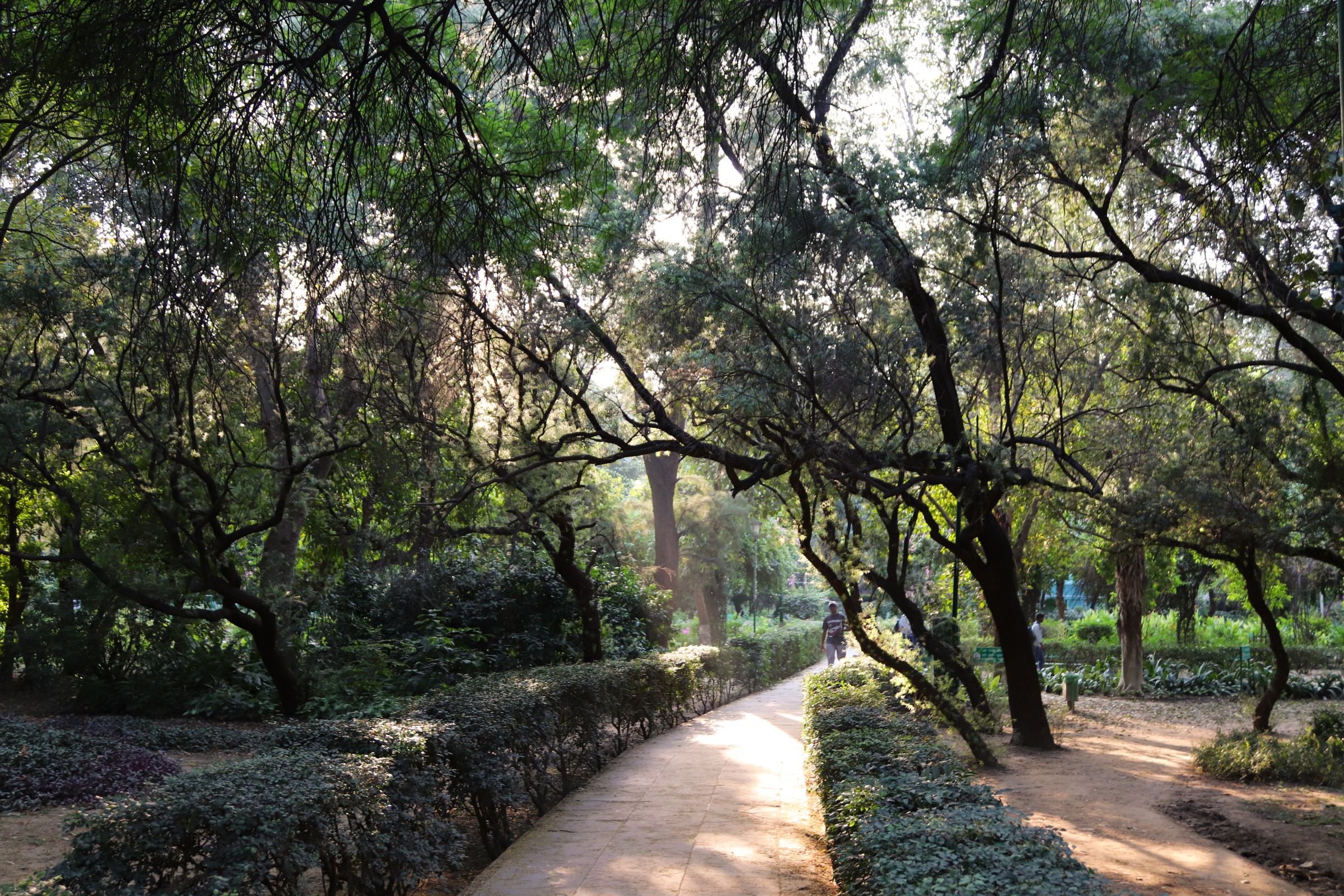 Lodhi garden