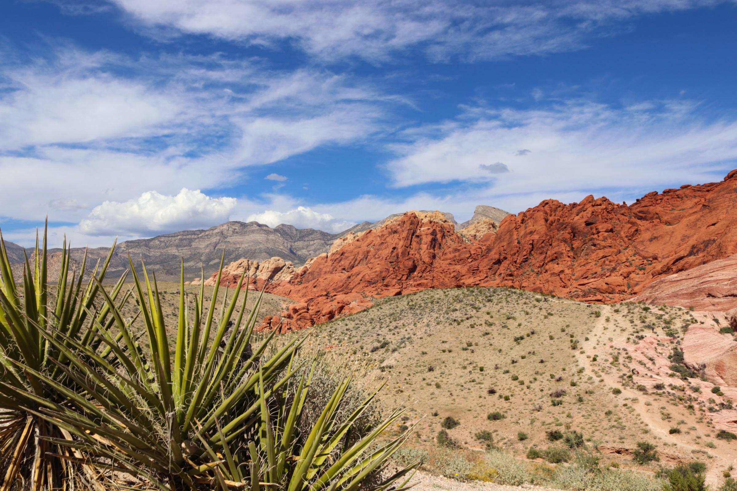 Calico mountains, Red Rock Canyon