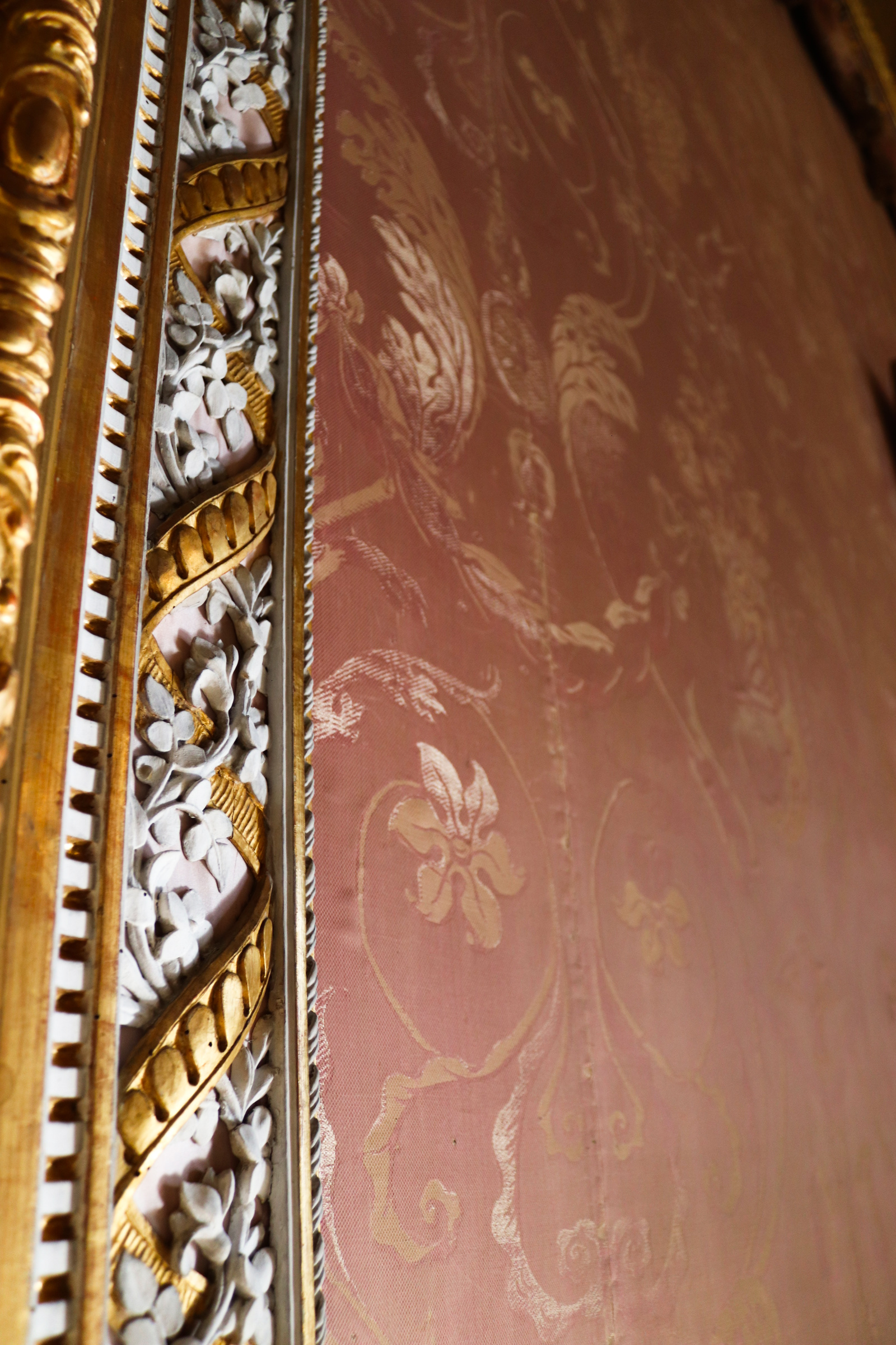 Palazzina di caccia di Stupinigi
