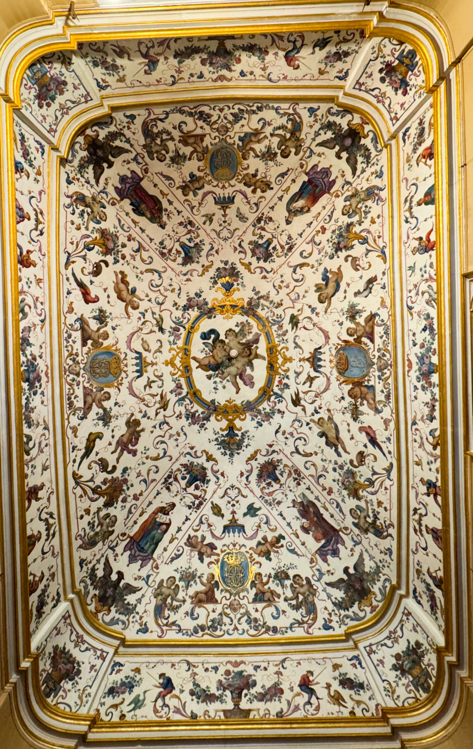 Palazzina di caccia di Stupinigi