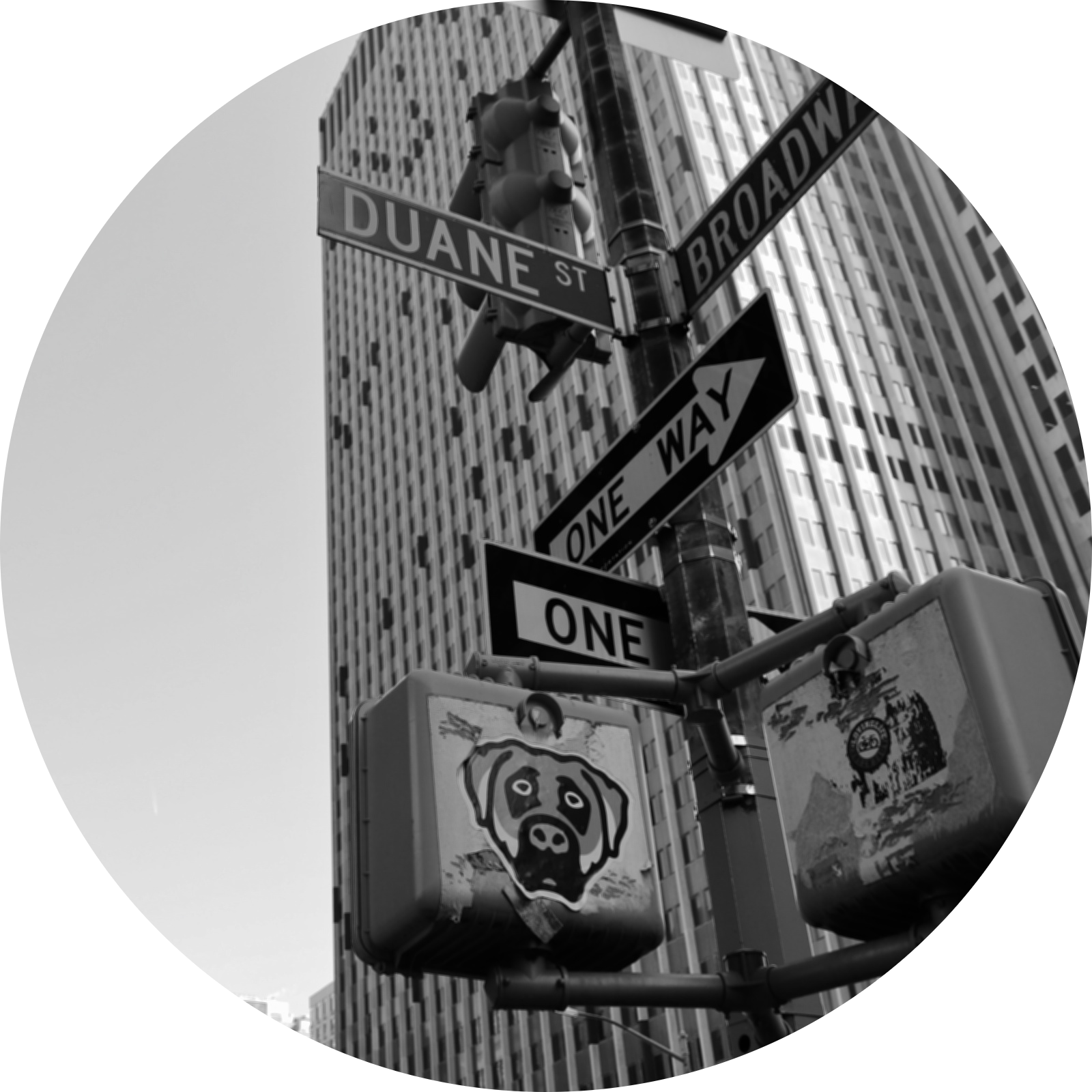 new york black and white