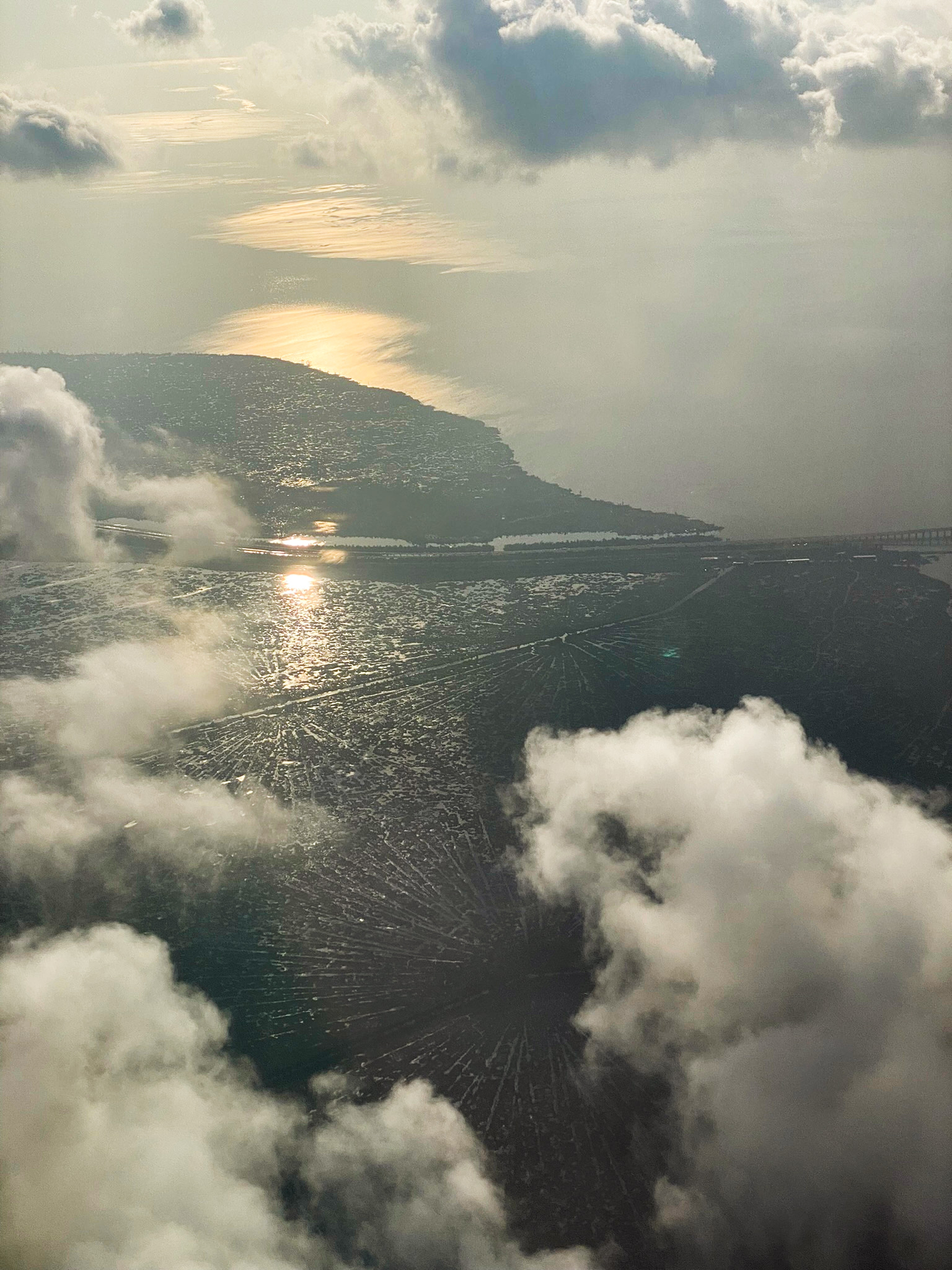 new orleans' bayou from above