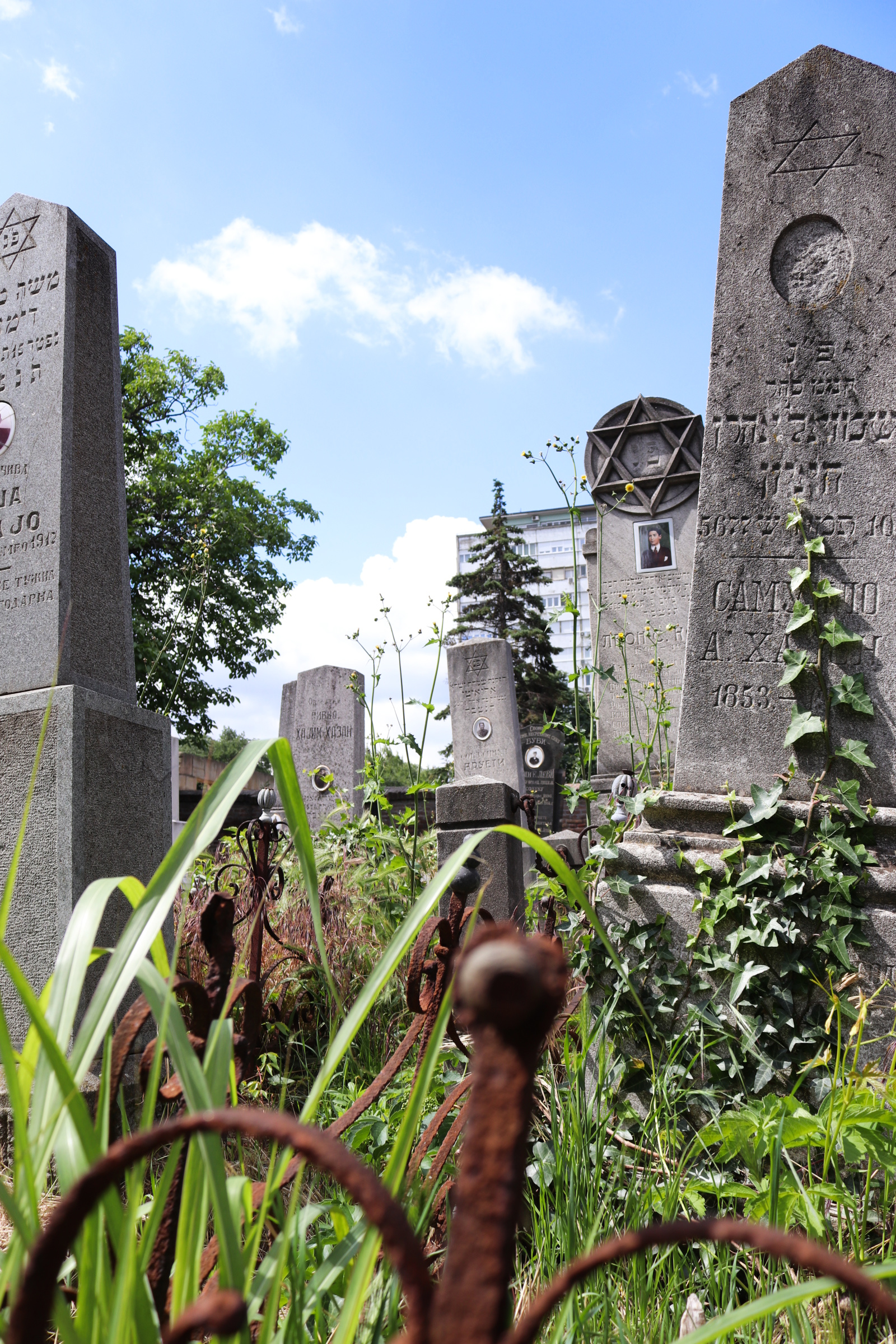 Belgrade jewish cemetery