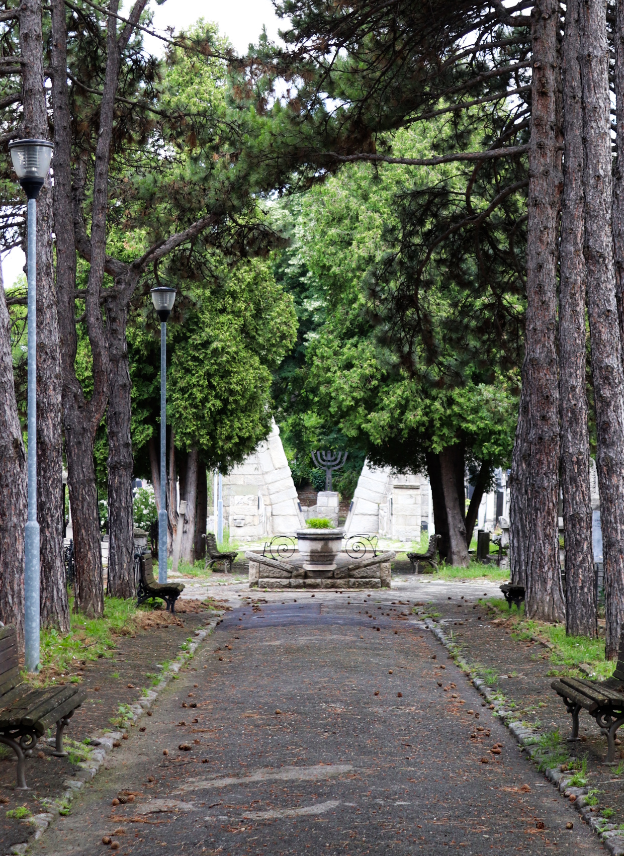 Belgrade jewish cemetery
