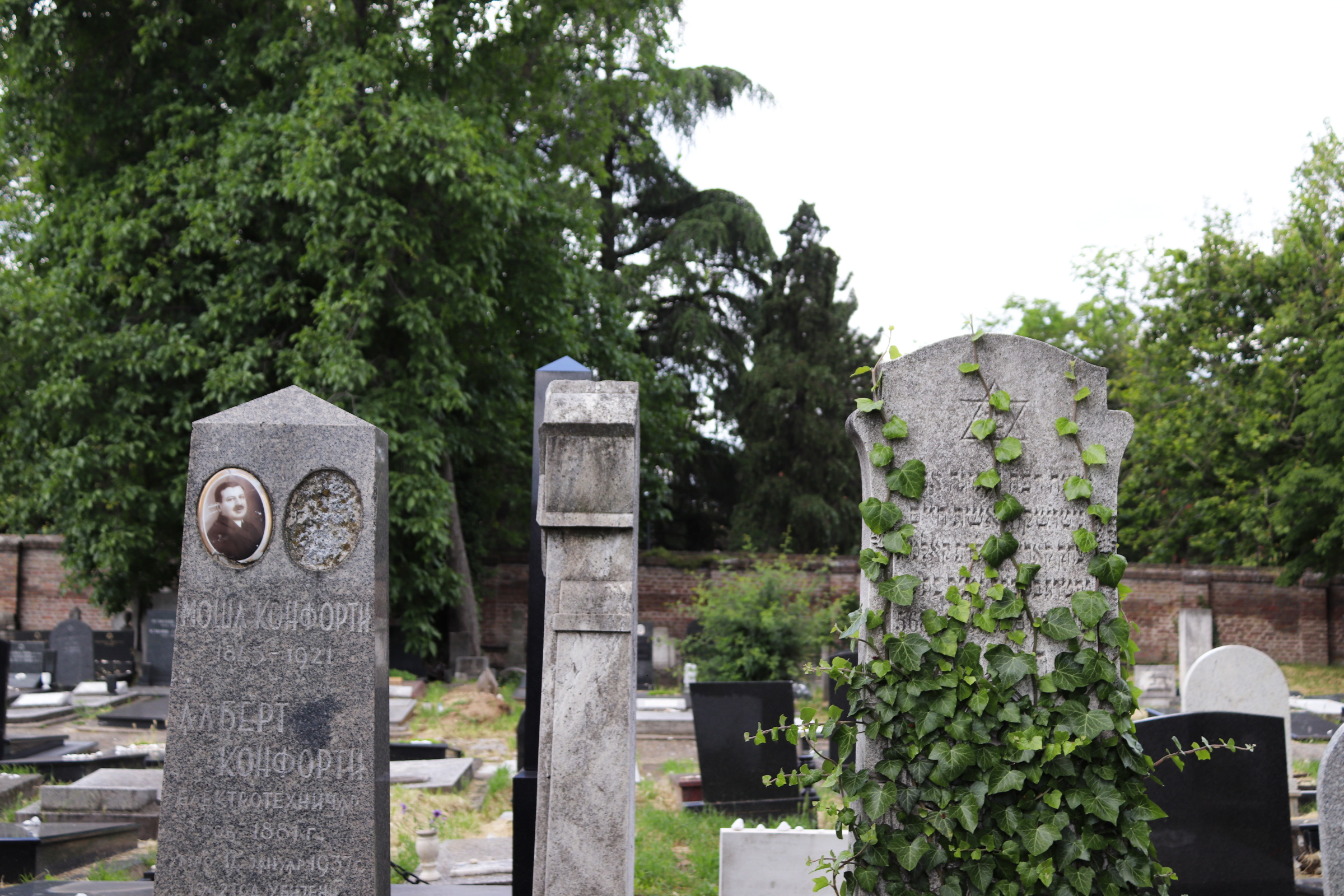 Belgrade jewish cemetery