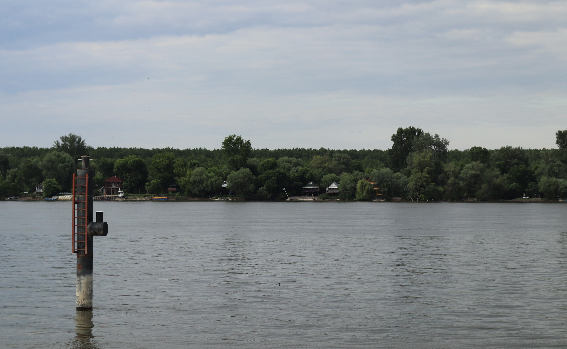 danube from zemun