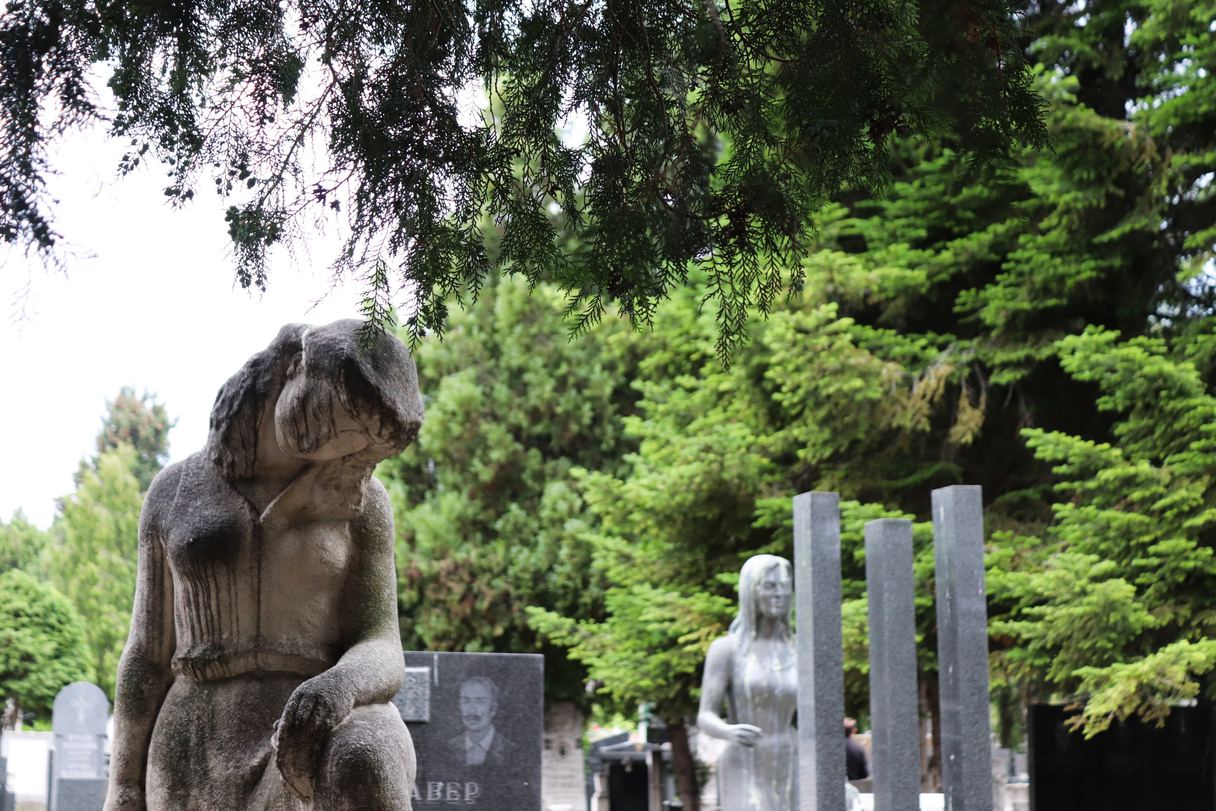 zemun cemetery