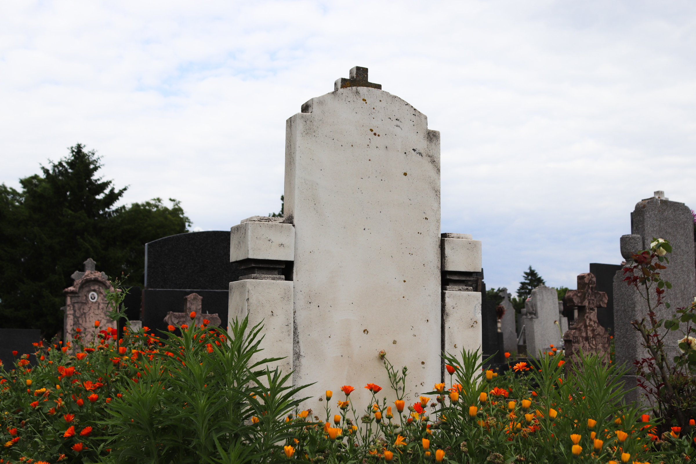 zemun cemetery