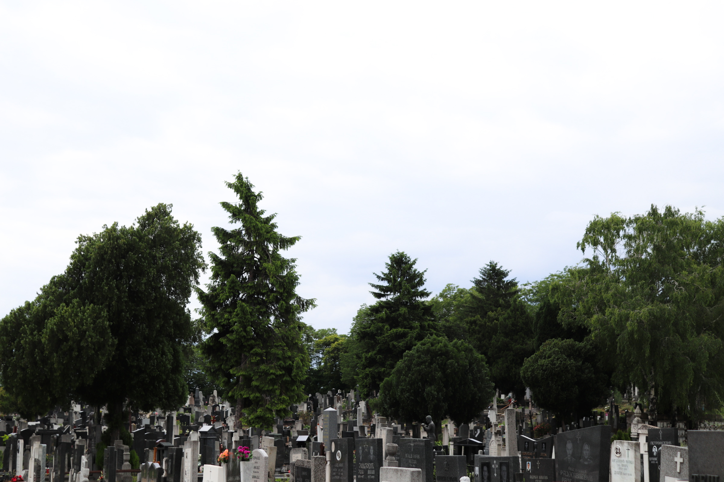 zemun cemetery