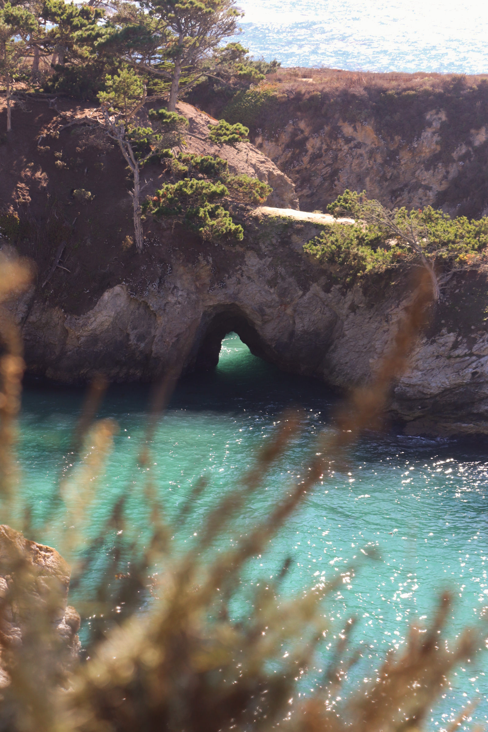Point Lobos State Natural Reserve, China Cove