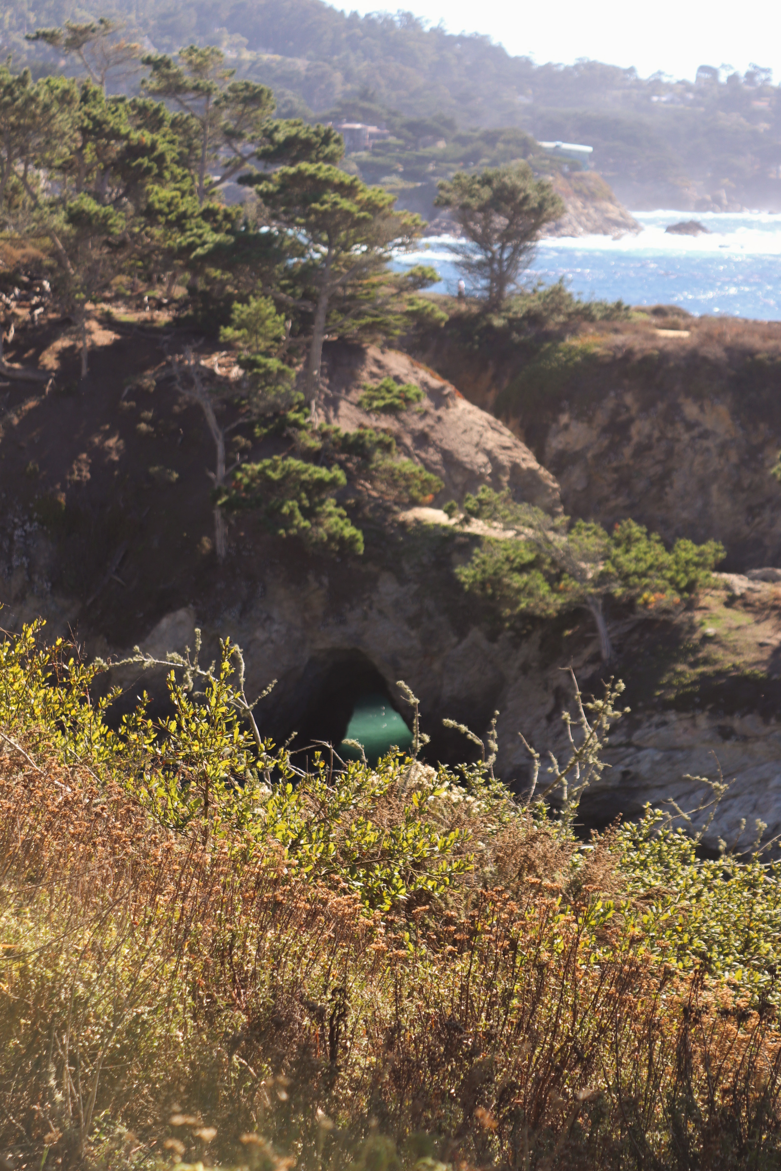 Point Lobos State Natural Reserve, China Cove