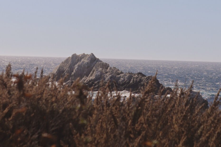 Point Lobos State Natural Reserve, south shore