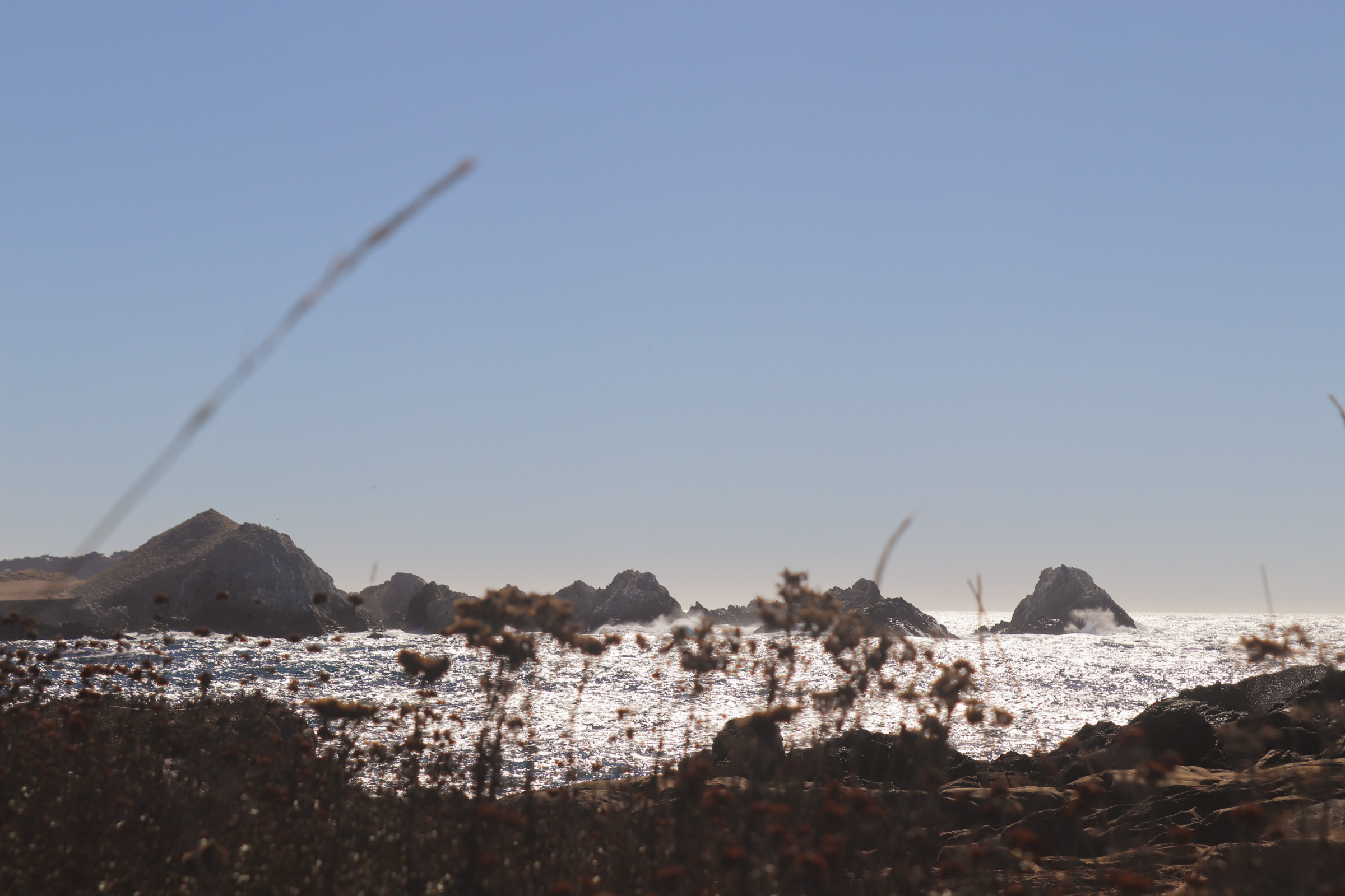 Point Lobos State Natural Reserve, south shore