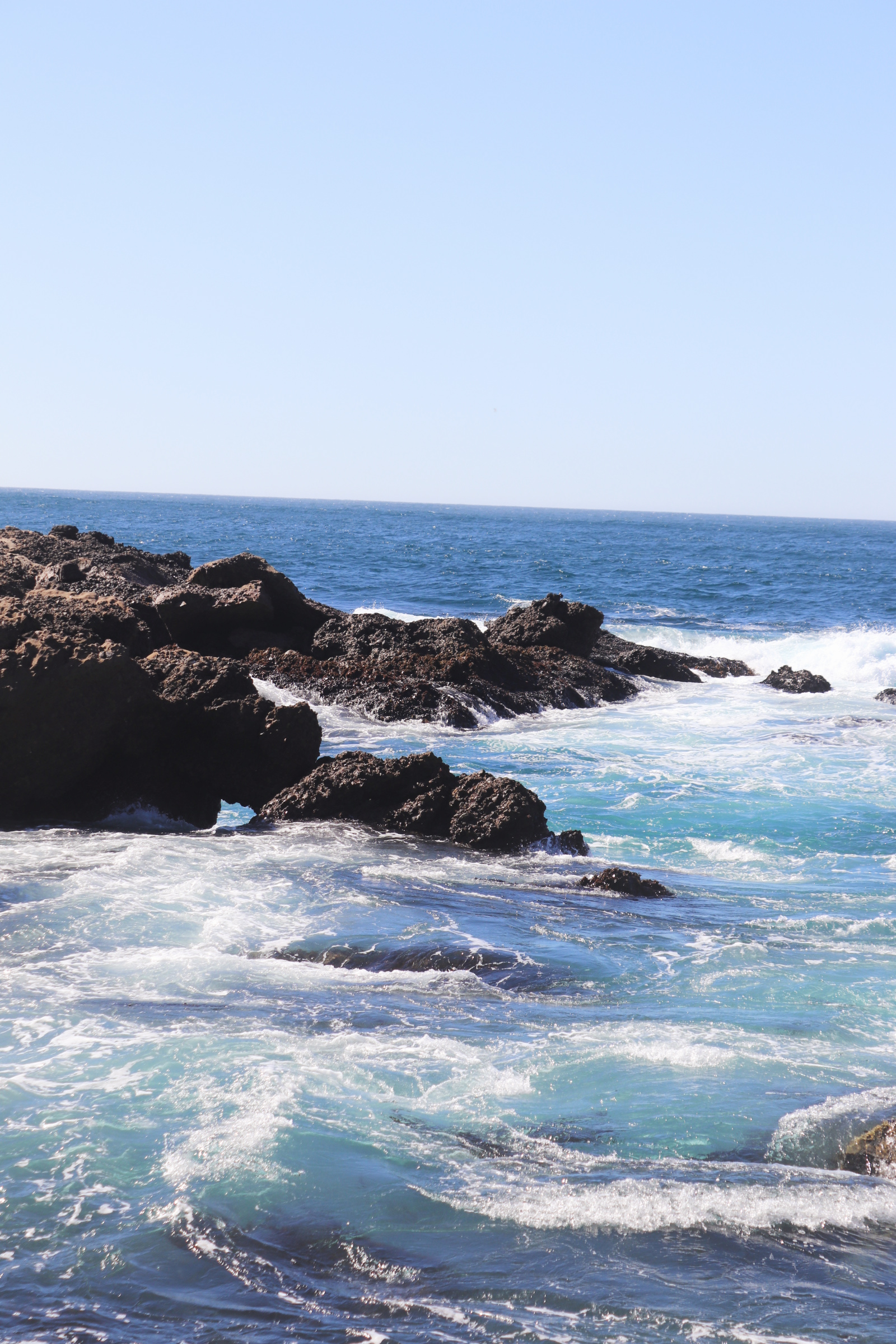Point Lobos State Natural Reserve, south shore