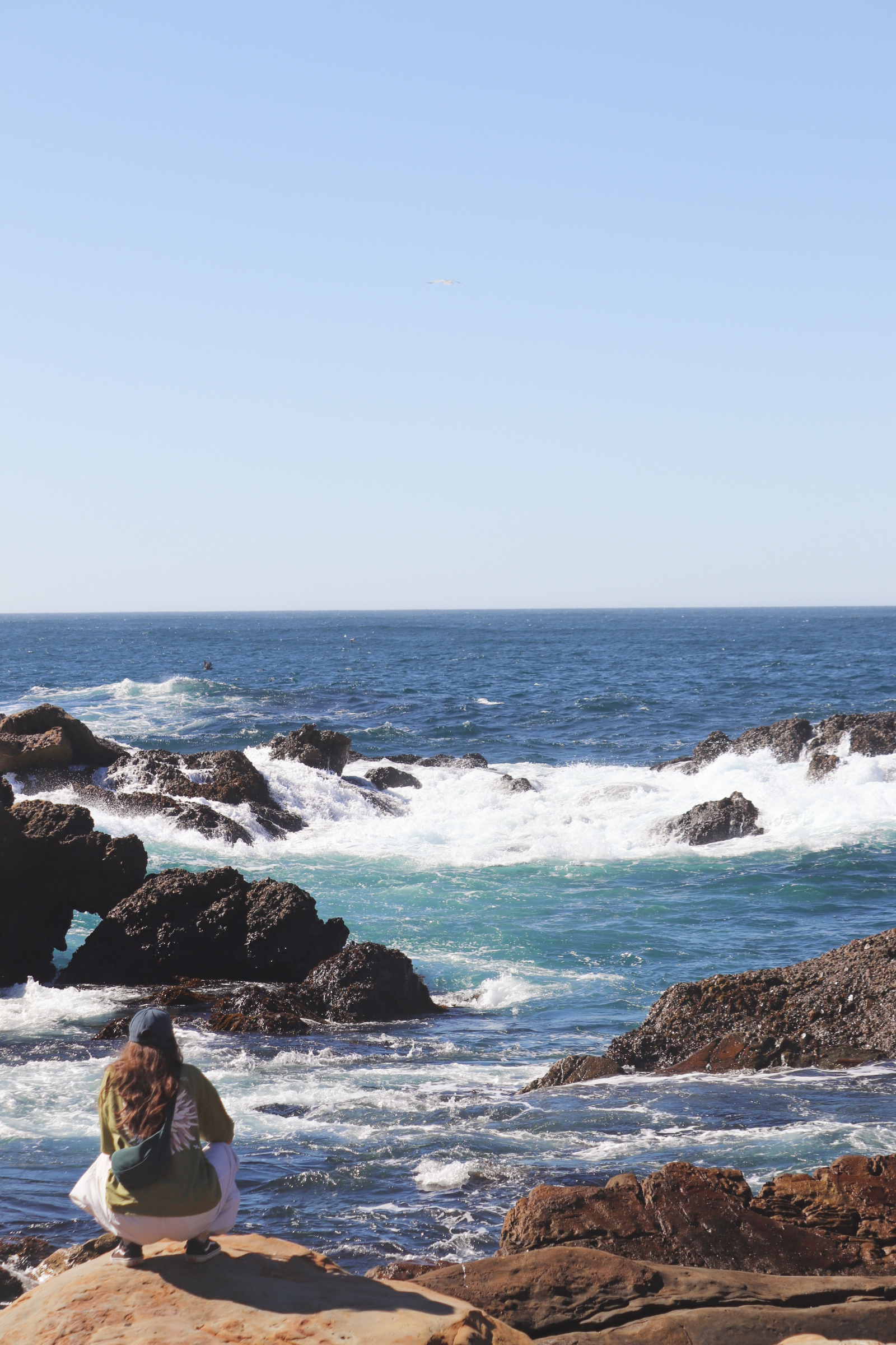 Point Lobos State Natural Reserve, south shore