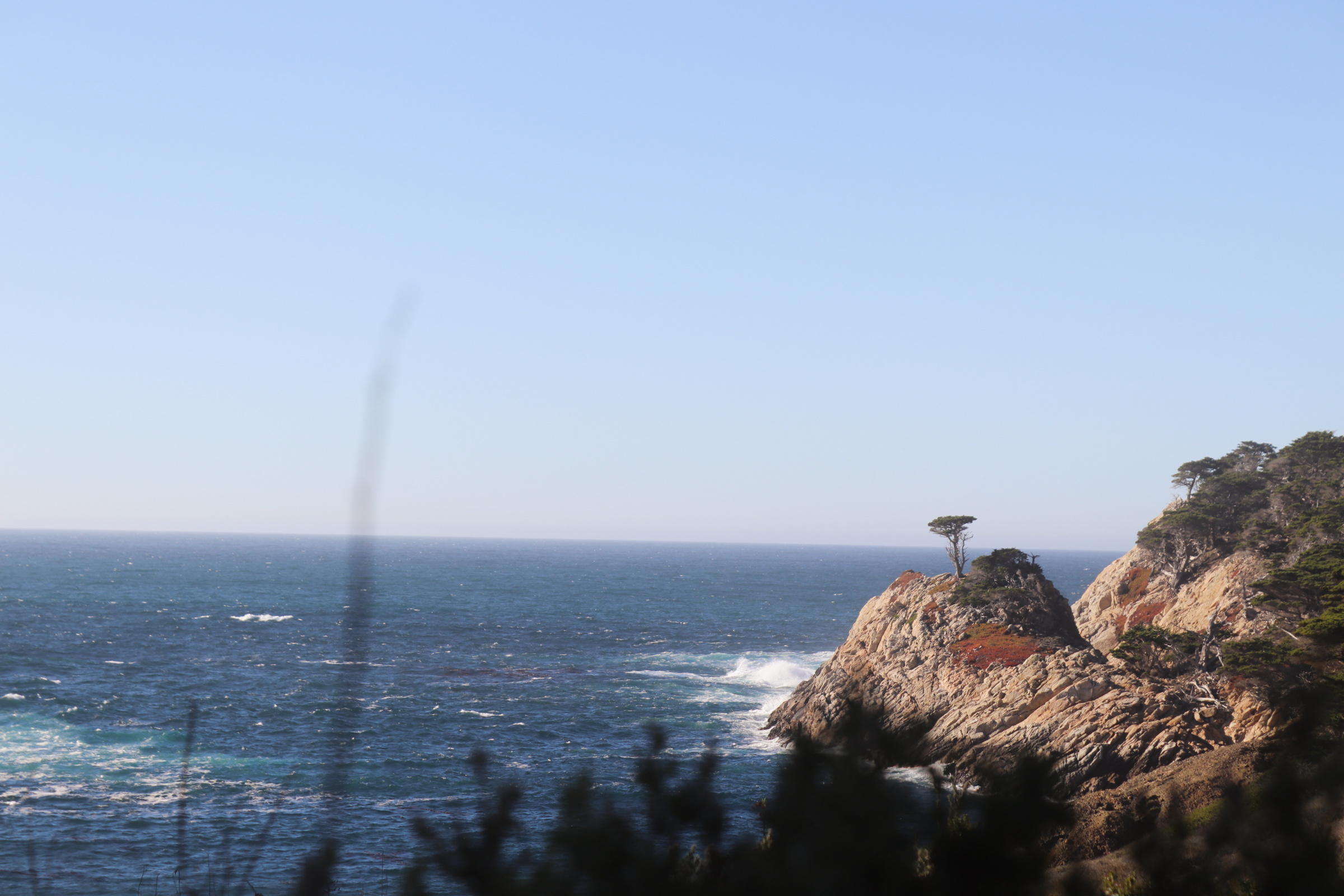 Point Lobos State Natural Reserve, Cypress Grove