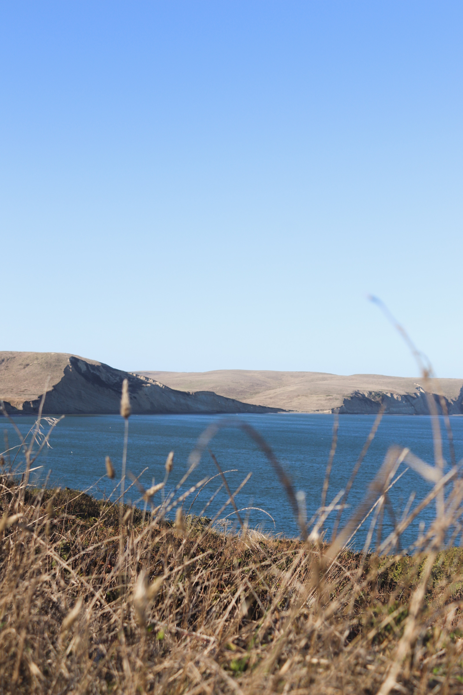 Drakes Bay, Point Reyes National Seashore